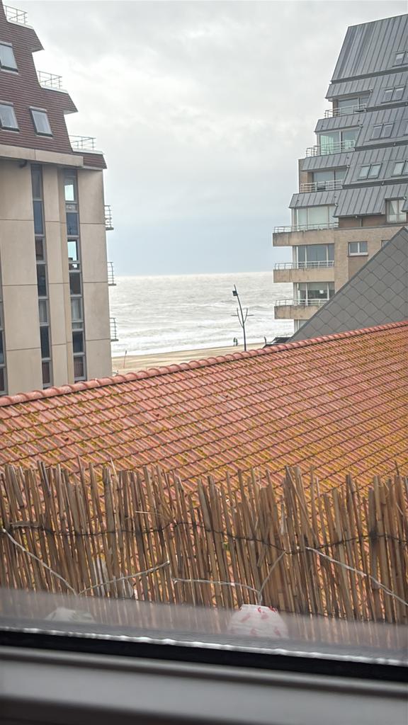 Blankenberge jachthaven 5 personen, Propriétaire