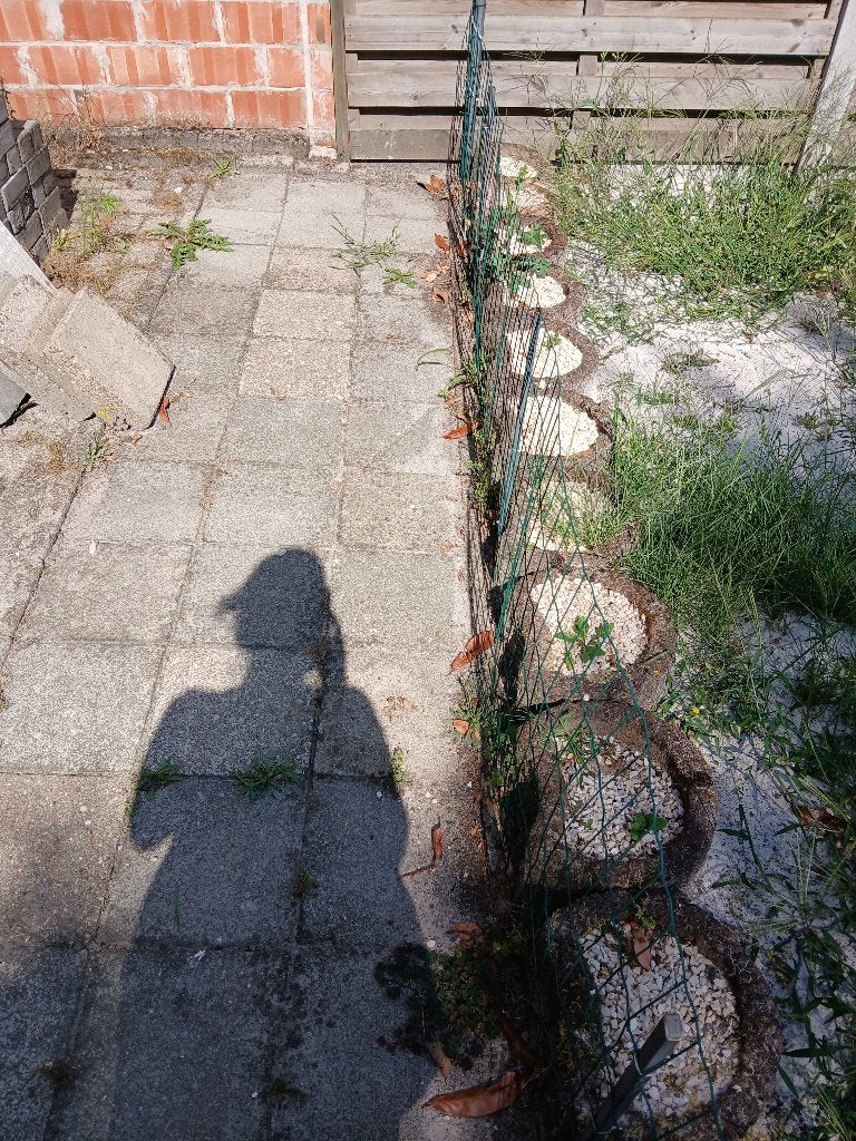Gratis, Divers, Enlèvement, Utilisé
