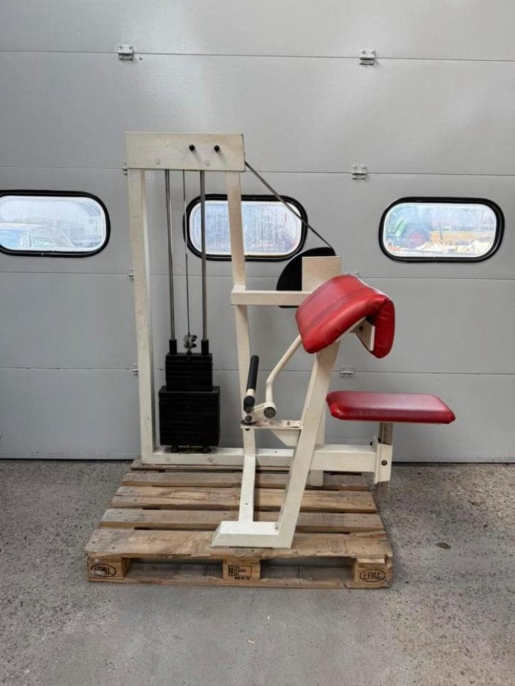 Gym 80 biceps curl / bicep / bizep / bizeps / machine, Enlèvement, Utilisé, Bras, Autres types