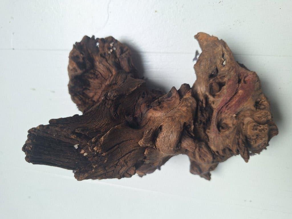 Aquarium/paludarium hout groot, Ophalen, Gebruikt, Tak, Plant, Rots of Steen