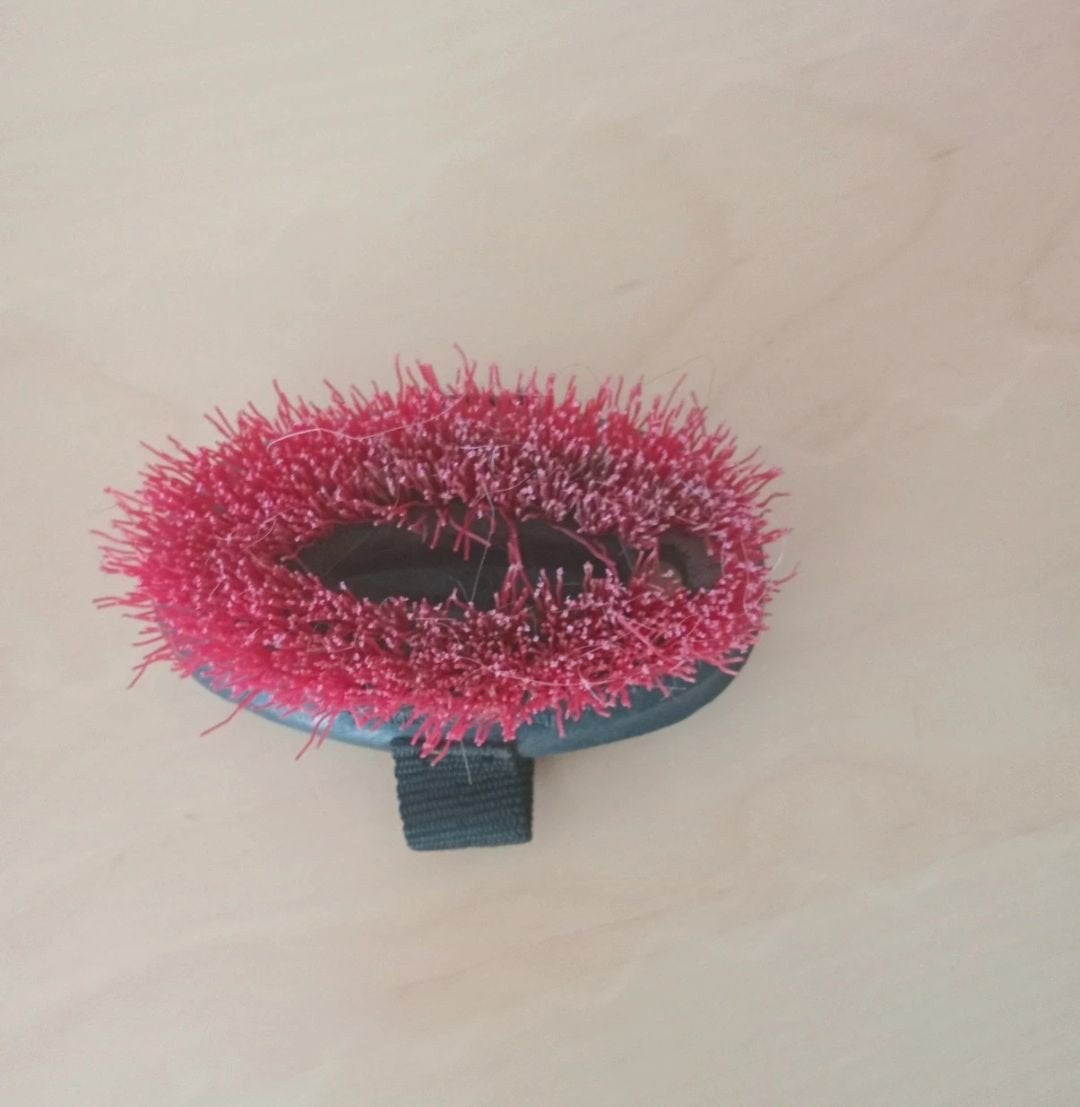 brosse dur équitation, Animaux & Accessoires, Enlèvement ou Envoi, Utilisé, Autres disciplines