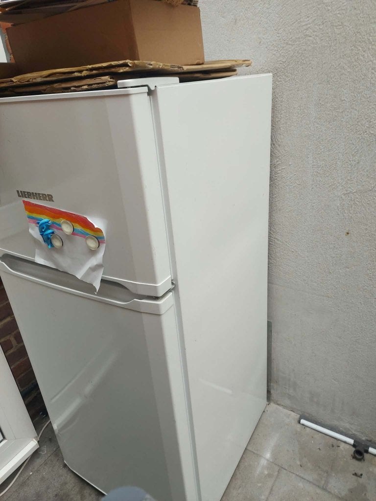 Werkende ijskast met vriesvak, Elektronische apparatuur, Ophalen, Met vriesvak
