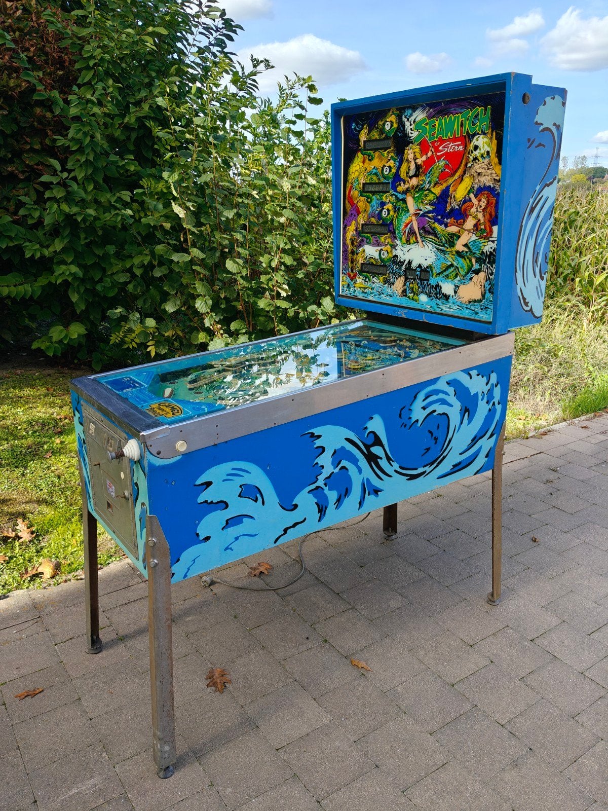 flipperkast seawitch van Stern, Collections, Enlèvement, Flipper (jeu), Stern