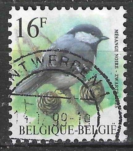 Belgique 1999 - Yvert/OBP 2804 - Buzin - Black Tit (ST), Timbres & Monnaies, Timbres | Europe | Belgique, Envoi, Affranchi, Oblitéré