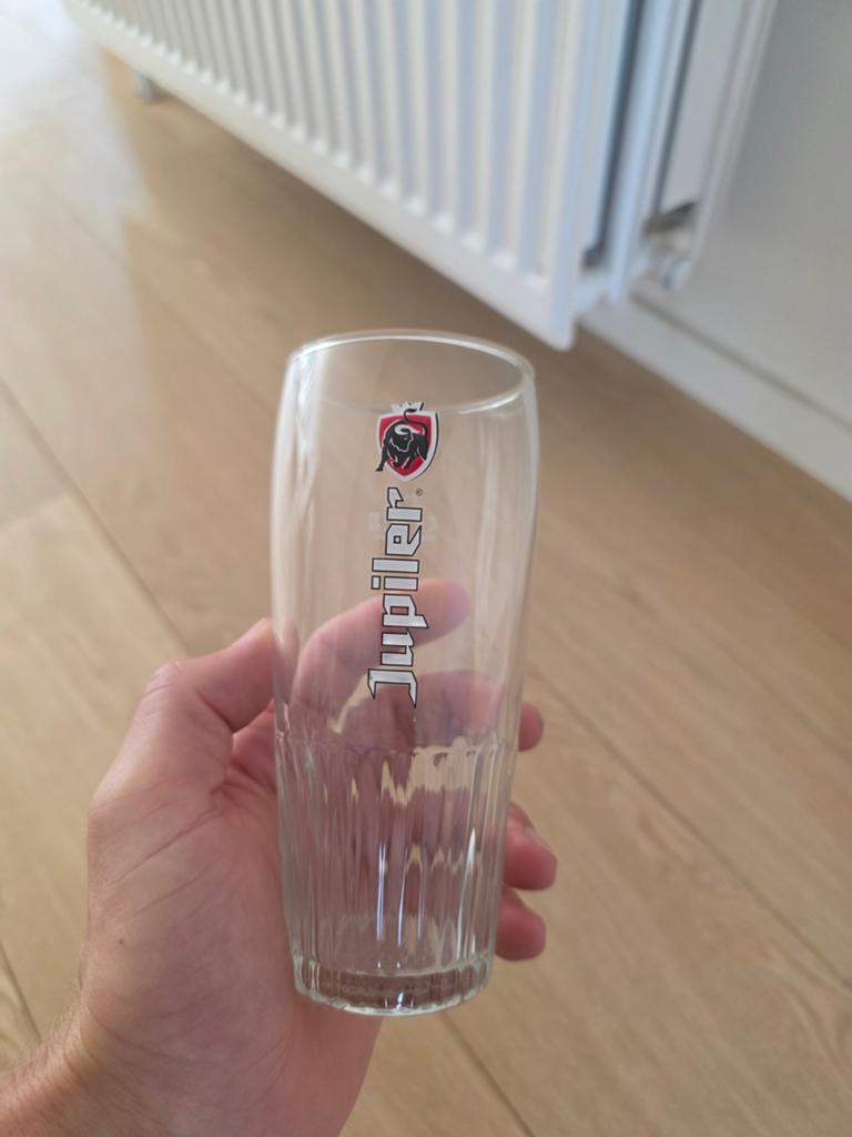 Lot de 6 verres à bière 25 cL, Collections, Enlèvement, Comme neuf, Verre à bière