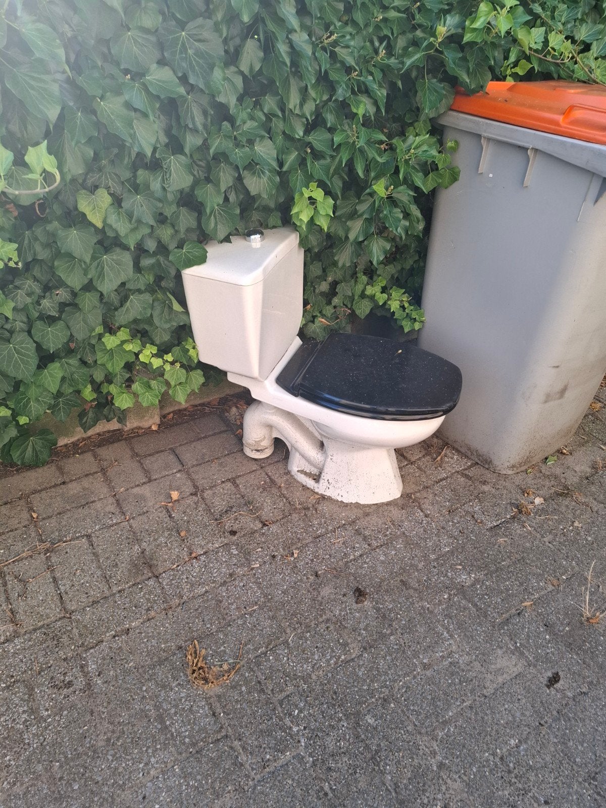 Toilet, Ophalen of Verzenden