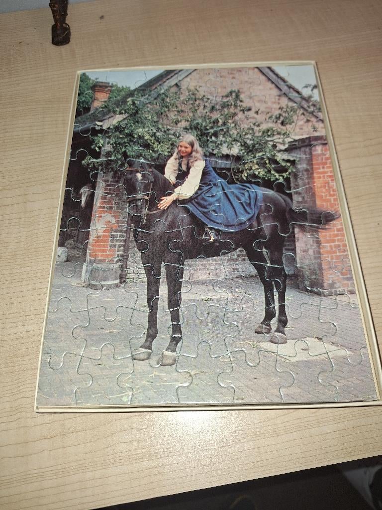 puzzel black beauty, Ophalen of Verzenden, Minder dan 500 stukjes, Zo goed als nieuw, Legpuzzel