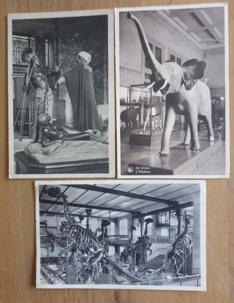 3 CP anciennes : Musée Tervuren et Bruxelles : Inguanodons, Enlèvement ou Envoi, 1920 à 1940, Non affranchie, Brabant Flamand