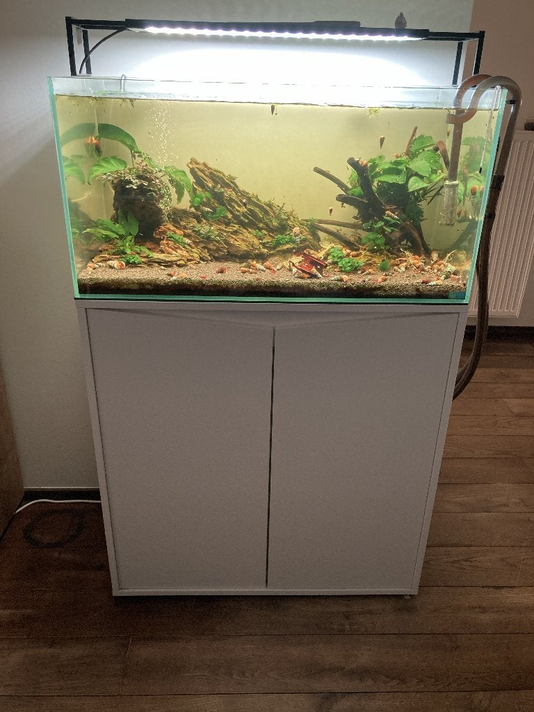 aquarium lilas., Animaux & Accessoires, Aquarium d'eau douce rempli, Enlèvement, Utilisé, Chihiros