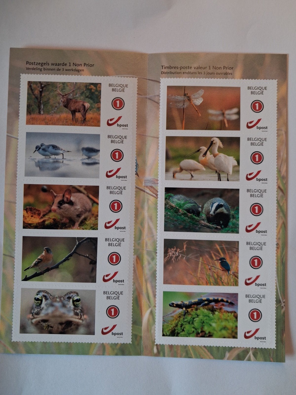 België Fantastic Fauna postfris, Postzegels en Munten, Ophalen of Verzenden, Postfris, Dier of Natuur