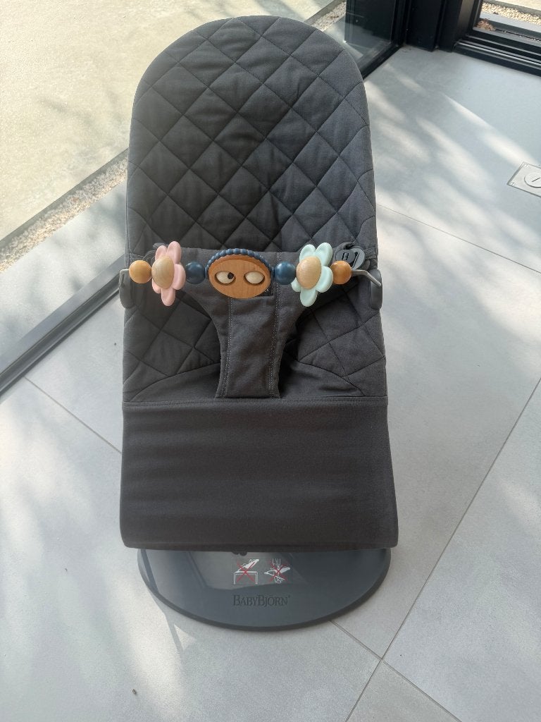 Babybjorn, Kinderen en Baby's, Wipstoel, Ophalen, Overige merken, Met gordel(s) of riempje(s)