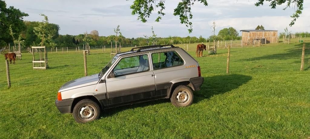 Fiat Panda 4x4, Auto's, Fiat, Particulier, Panda, 4x4, Centrale vergrendeling, Dakrails, Elektrische ramen, Benzine, Euro 2, 3 deurs