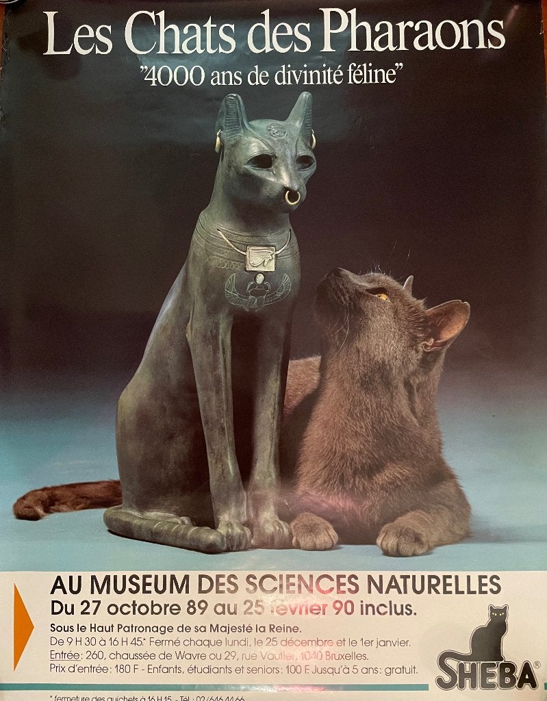 Poster, Ophalen of Verzenden, Nieuw