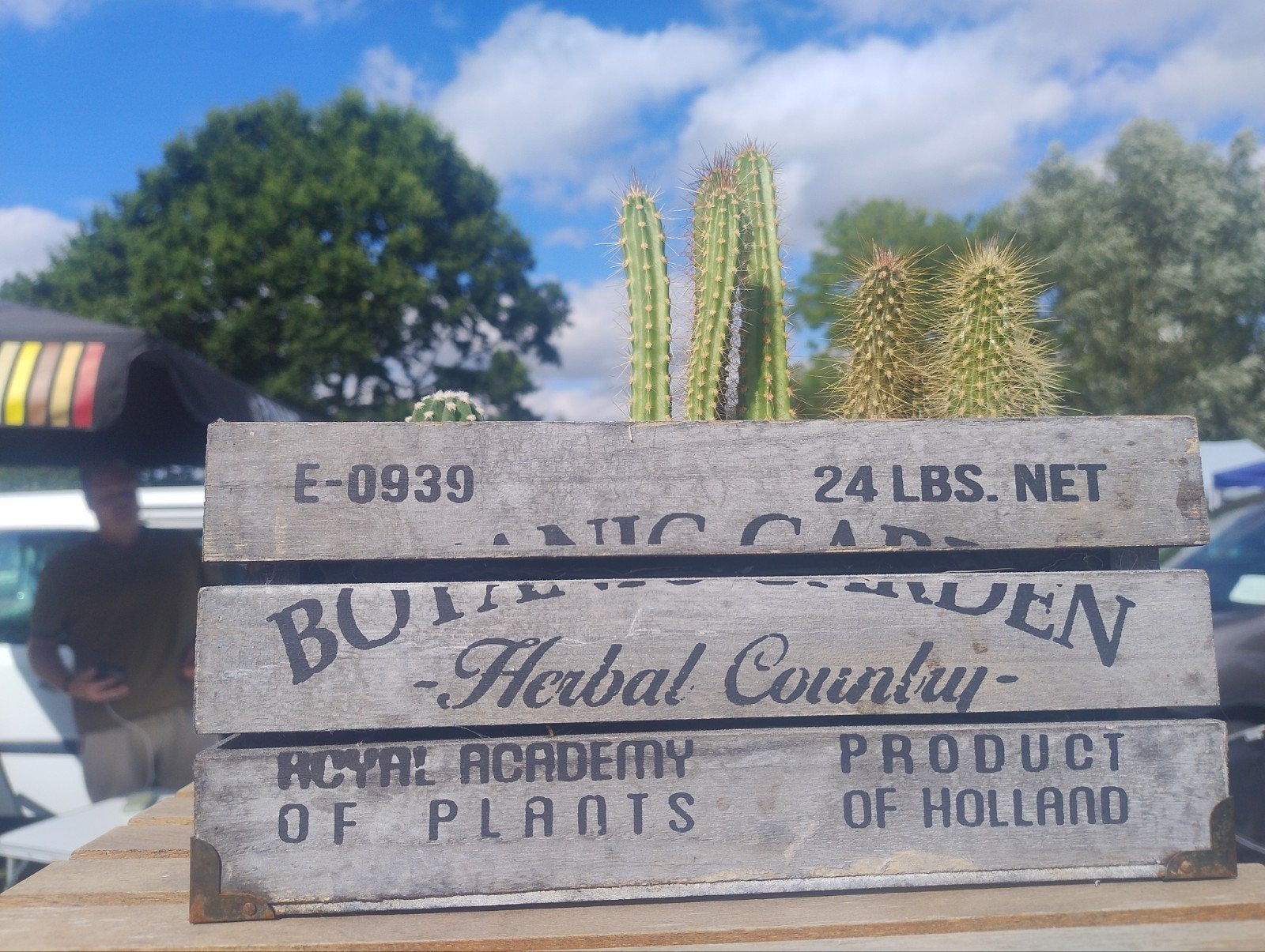 Planten, Enlèvement