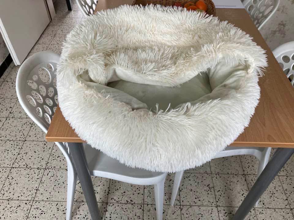 Lit pour chien, Enlèvement, Comme neuf
