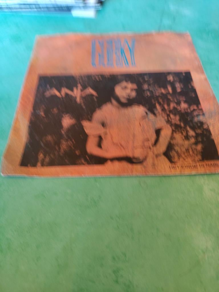 Gorky avec Danja, Enlèvement ou Envoi