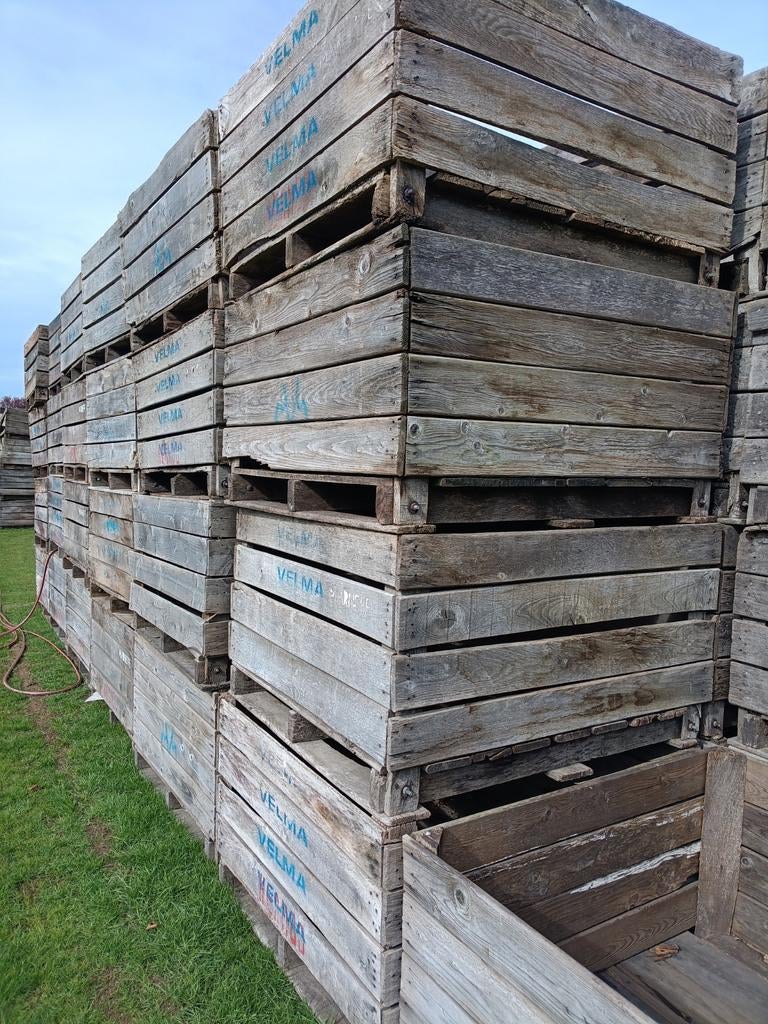 Houten paloxen, Enlèvement