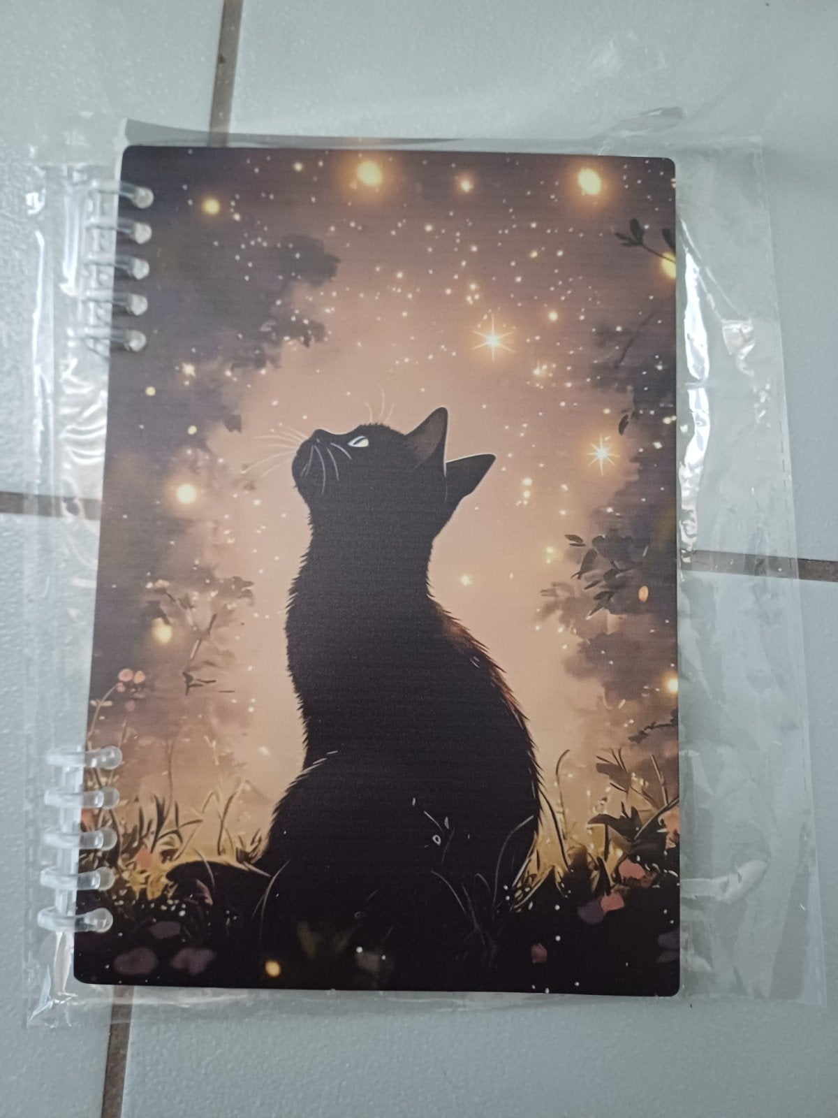 carnet de notes, Divers, Cahiers de notes, Enlèvement