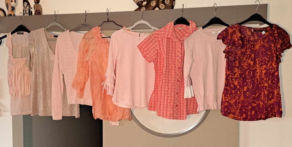 Truitjes en tops, in roze, zalmroze, fushia, ... mt S-M, Kleding | Dames, Blouses en Tunieken, Ophalen of Verzenden, Zo goed als nieuw