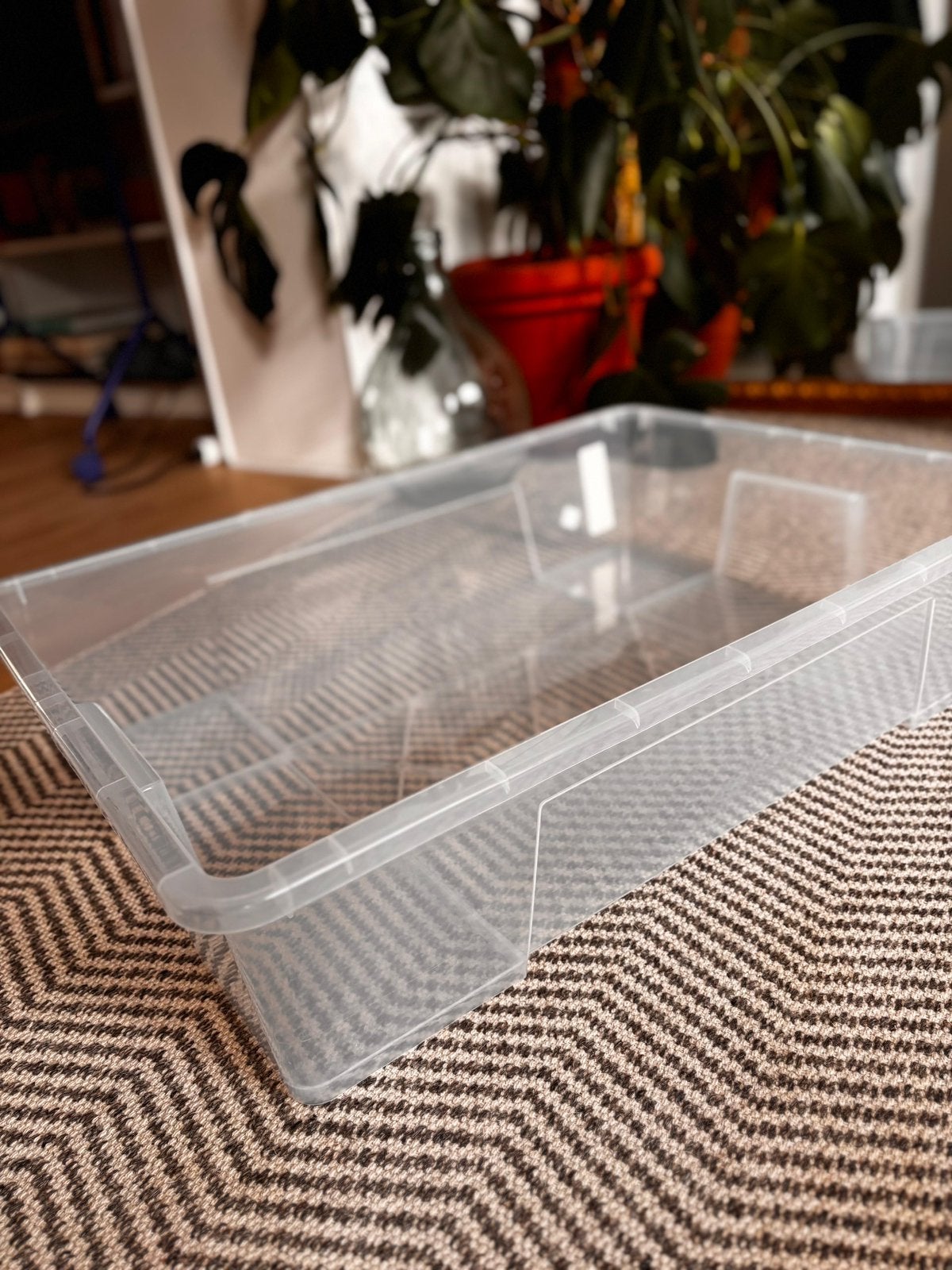 Boîtes de rangement en plastique, Moins de 35 cm, Enlèvement, Utilisé, Boîte