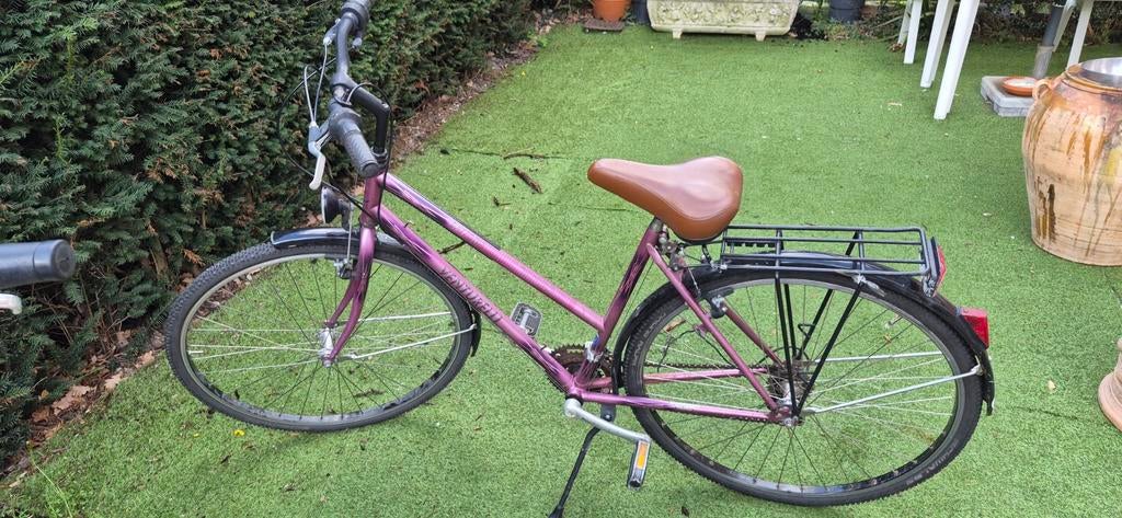 Damesfiets Venturelli, Fietsen en Brommers, Ophalen