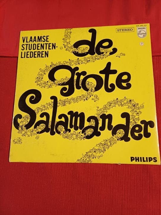 Lp Vinyl De grote salamander, CD & DVD, Enlèvement ou Envoi, Musique de fête, Utilisé, Housse de protection extérieure