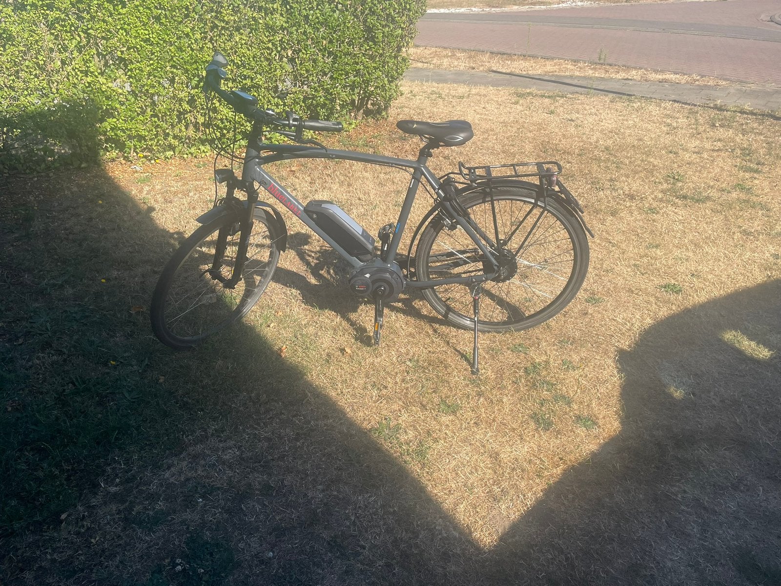 Riese Muller Blue Label speed pedelec (elektrische fiets), Fietsen en Brommers, Gebruikt, 59 cm of meer, 50 km per accu of meer