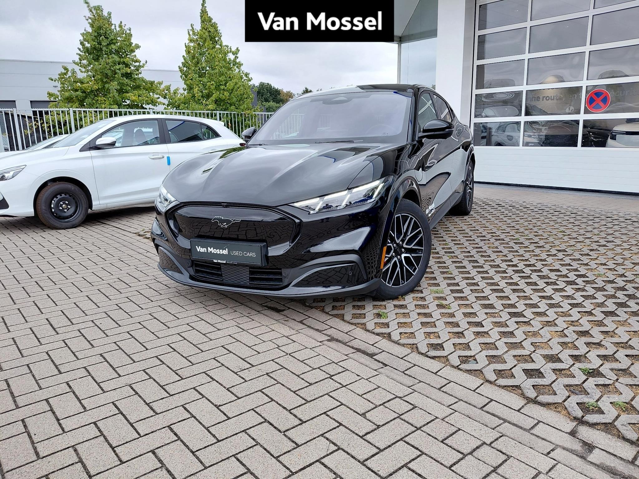 Ford Mustang Mach-E 88kWh 276kW Extended Range Premium AWD, Auto's, Automaat, Stof, https://public.car-pass.be/vhr/5c448f66-306e-4f88-807c-8afbefb8b550