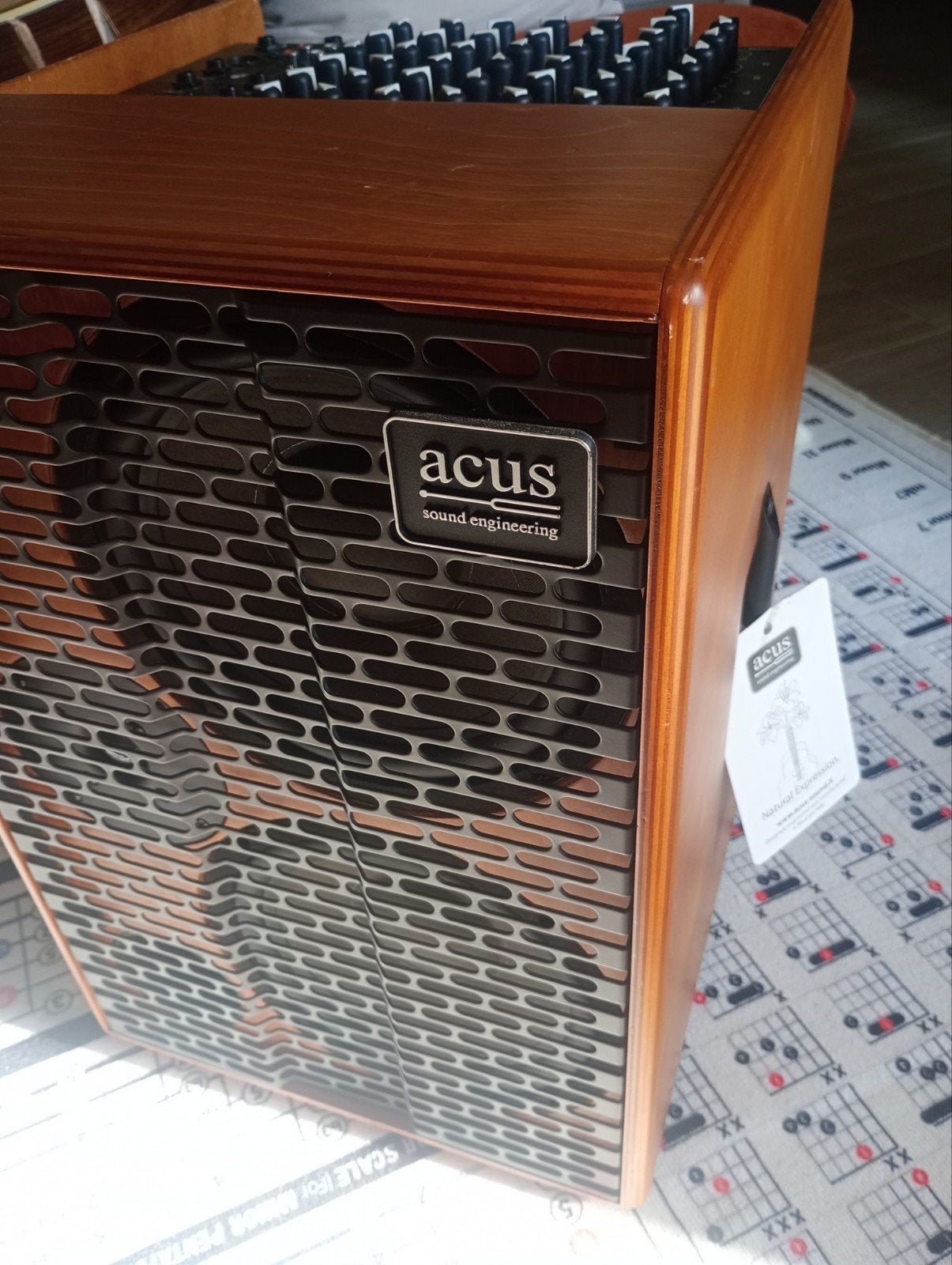 Ampli acoustique ONE FOR STRINGS 10 AD BOIS, Musique & Instruments, Enlèvement
