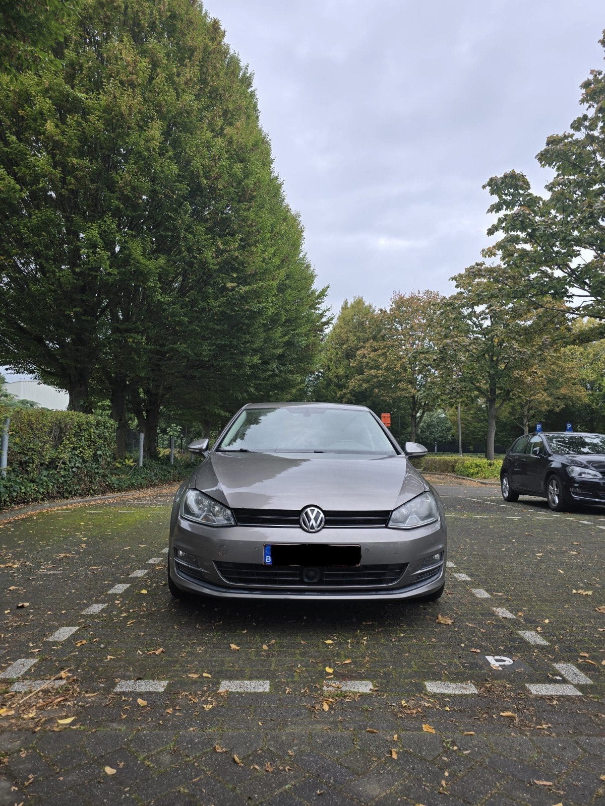 golf 7. auto  2013 1.6 tdi, Autos, Euro 5, Carnet d'entretien, Beige, 5 portes