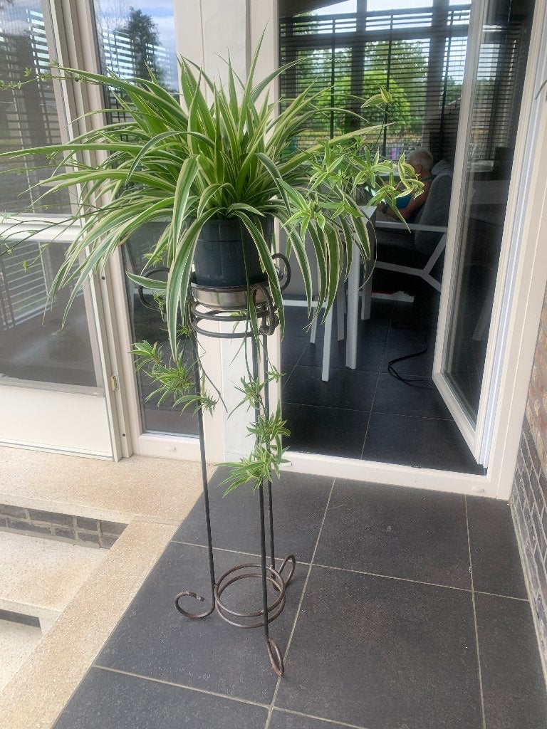 Plant, Ophalen