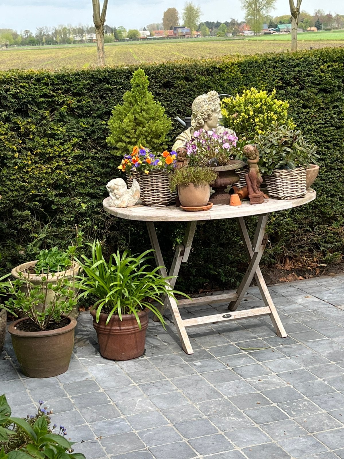 Pots de fleurs avec plantes, Jardin & Terrasse, Enlèvement