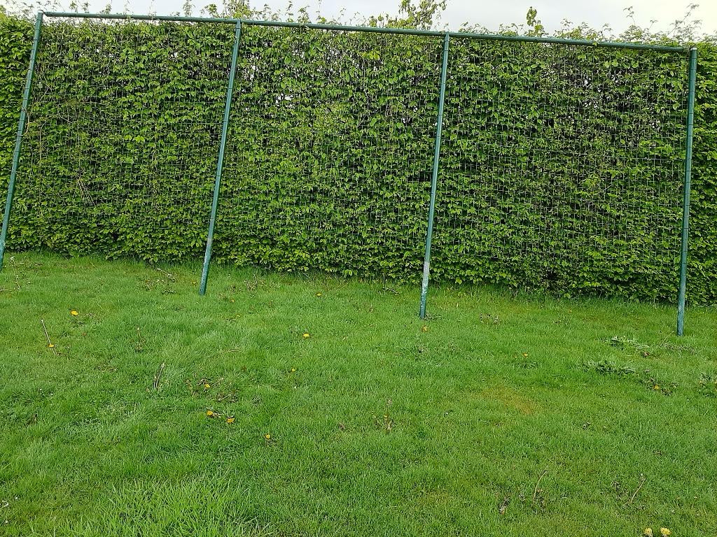 afsluiting/hek voor klimplanten, Jardin & Terrasse, Clôtures de jardin, Enlèvement, Utilisé, Synthétique, Clôture ornementale