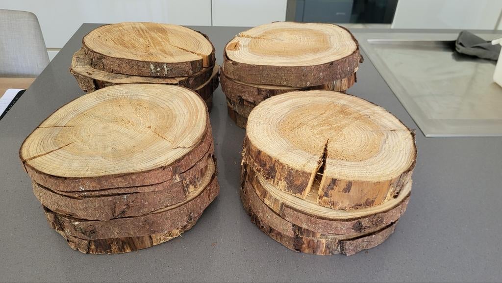 Boomstamschijven decoratie – 16 stuks, Ophalen