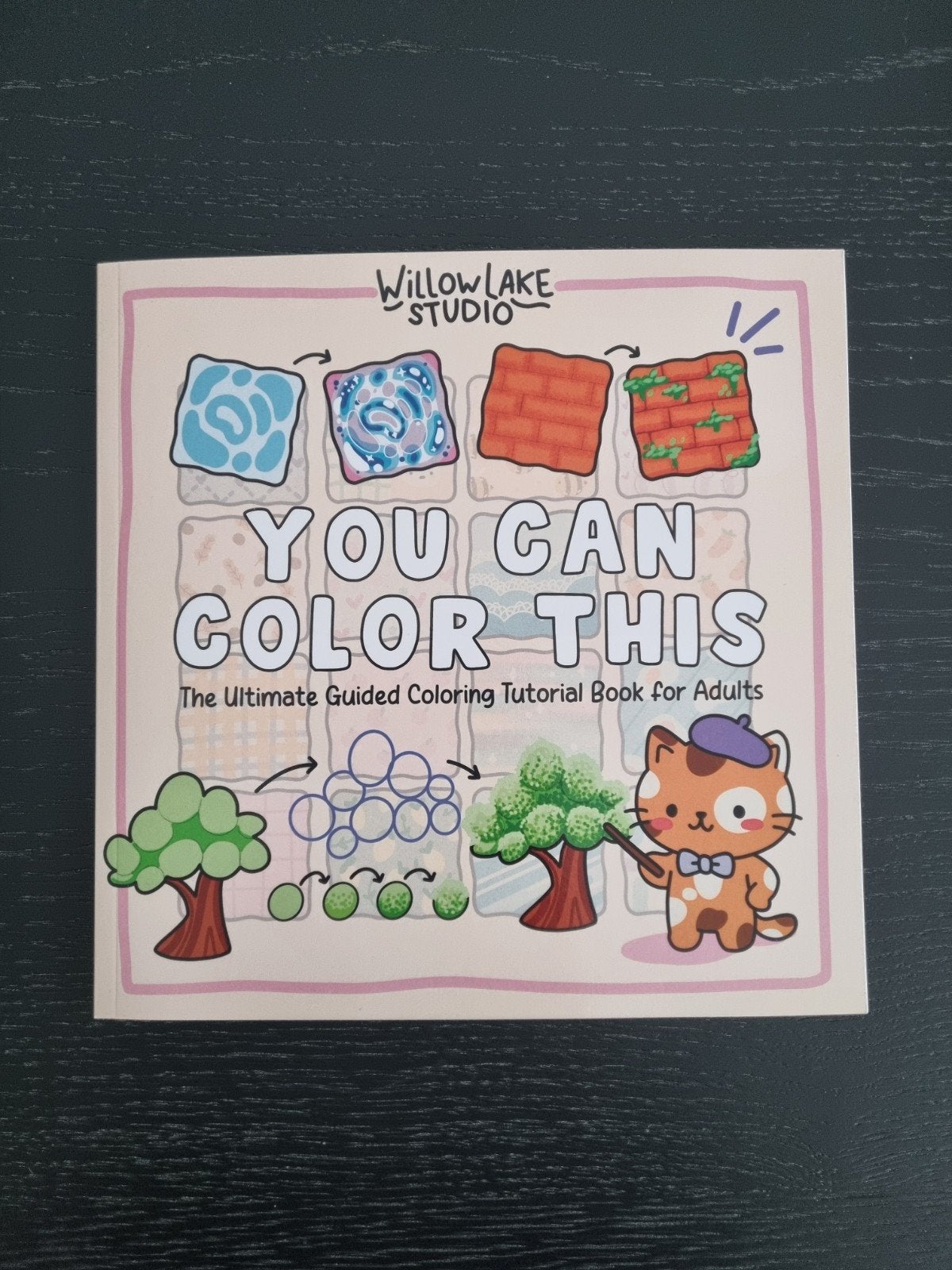 You can color this (Willow Lake Studio), Enlèvement, Neuf