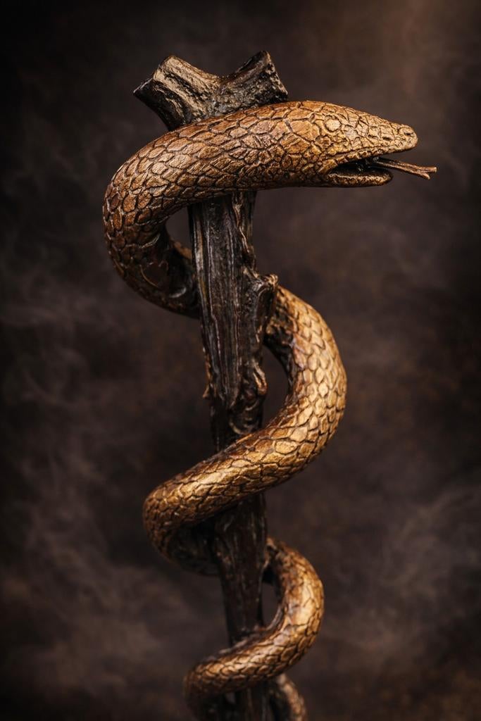 Exclusief bronzen slangbeeld – Asclepius symbool | origineel, Ophalen of Verzenden, Brons