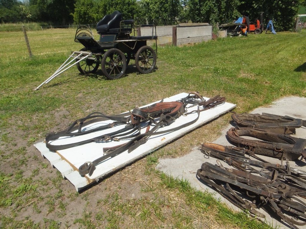 Enkelspan / Tweespan / Recreatiewagen, Dieren en Toebehoren, Rijtuigen en Koetsen, Gebruikt, Marathonwagen, Paard of Pony