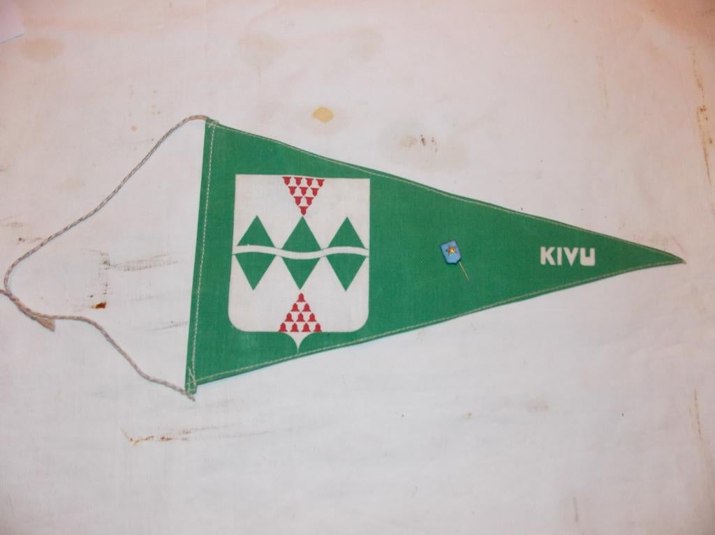 Fanion du Congo KIVU, Collections, Enlèvement ou Envoi, Armée de terre, Drapeau ou Bannière