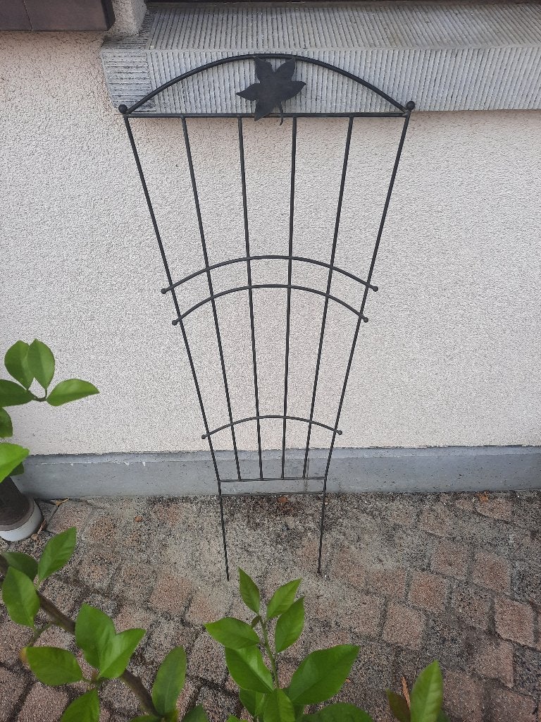 Ondersteuning voor klimplanten, Ophalen