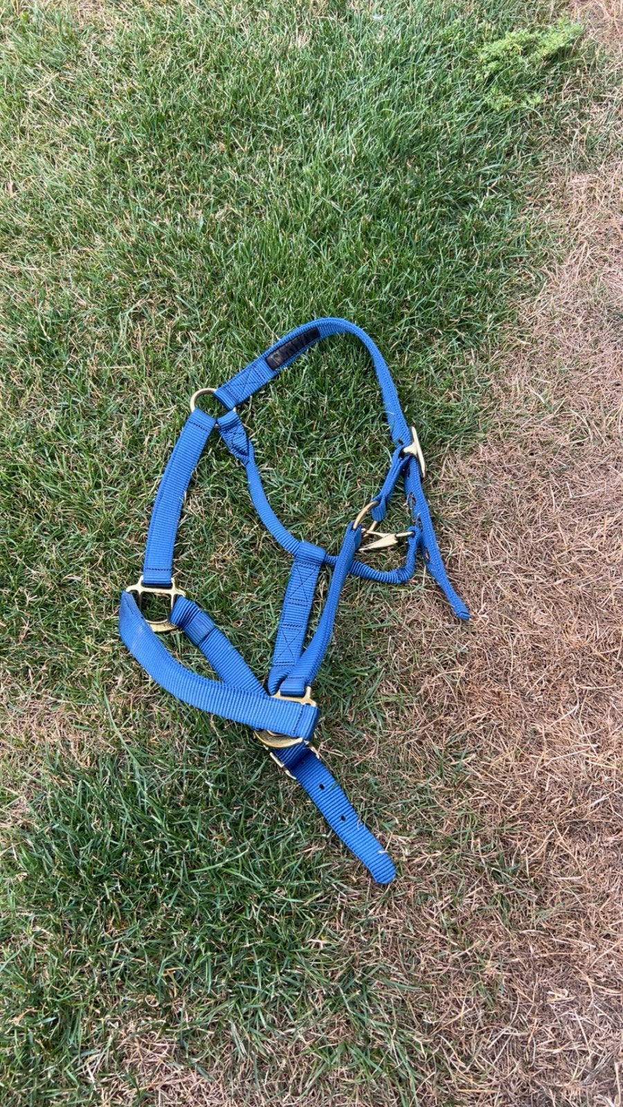 Donkerblauw halster cob, Dieren en Toebehoren, Ophalen, Nieuw, Blauw, Cob