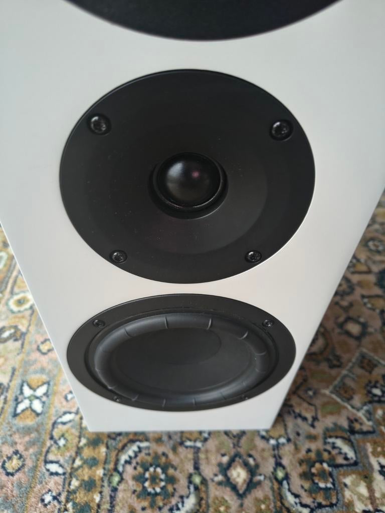 Actieve draadloze topluidspreker van System Audio, TV, Hi-fi & Vidéo, Enceintes, Enlèvement ou Envoi, Haut-parleur central, Sorento