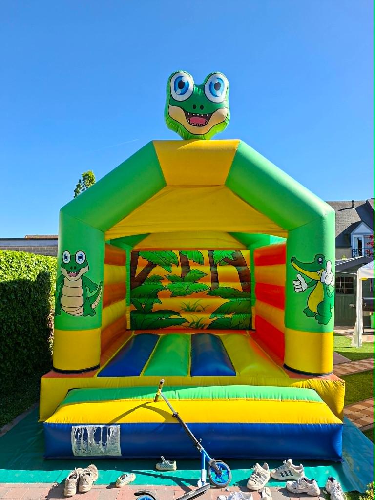 Springkasteel dino met blower en grondzeil, Hobby en Vrije tijd, Ophalen, Gebruikt