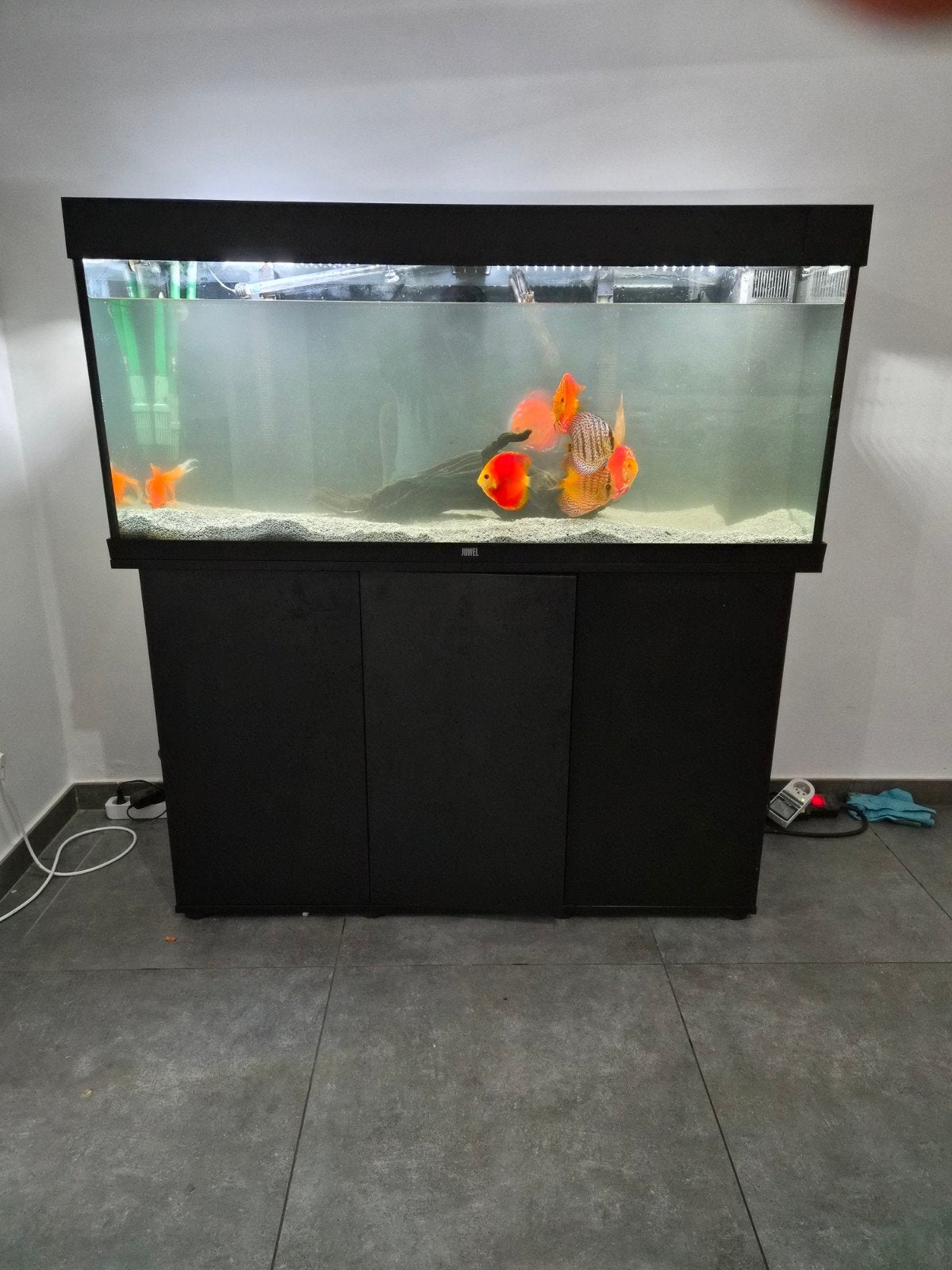 Aquarium juwel Rio 240 L, Enlèvement, Comme neuf, Juwel