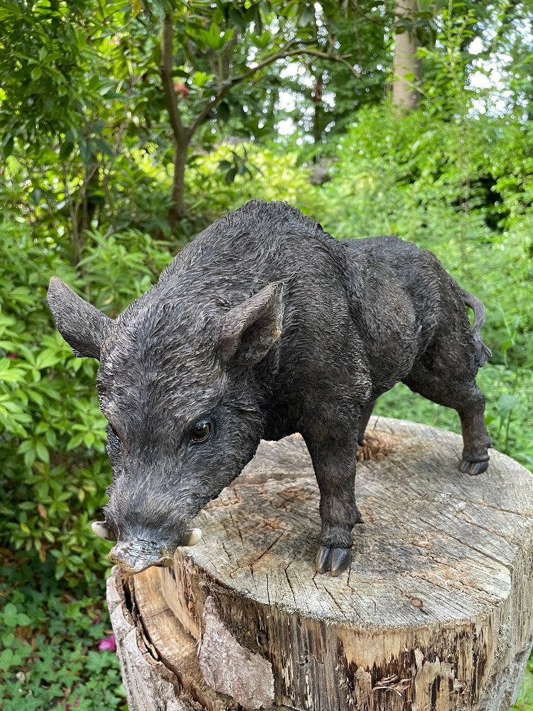 Beeld everzwijn, gazon, tuin, boerderij 35cm, Ophalen of Verzenden, Nieuw, Kunststof, Dierenbeeld