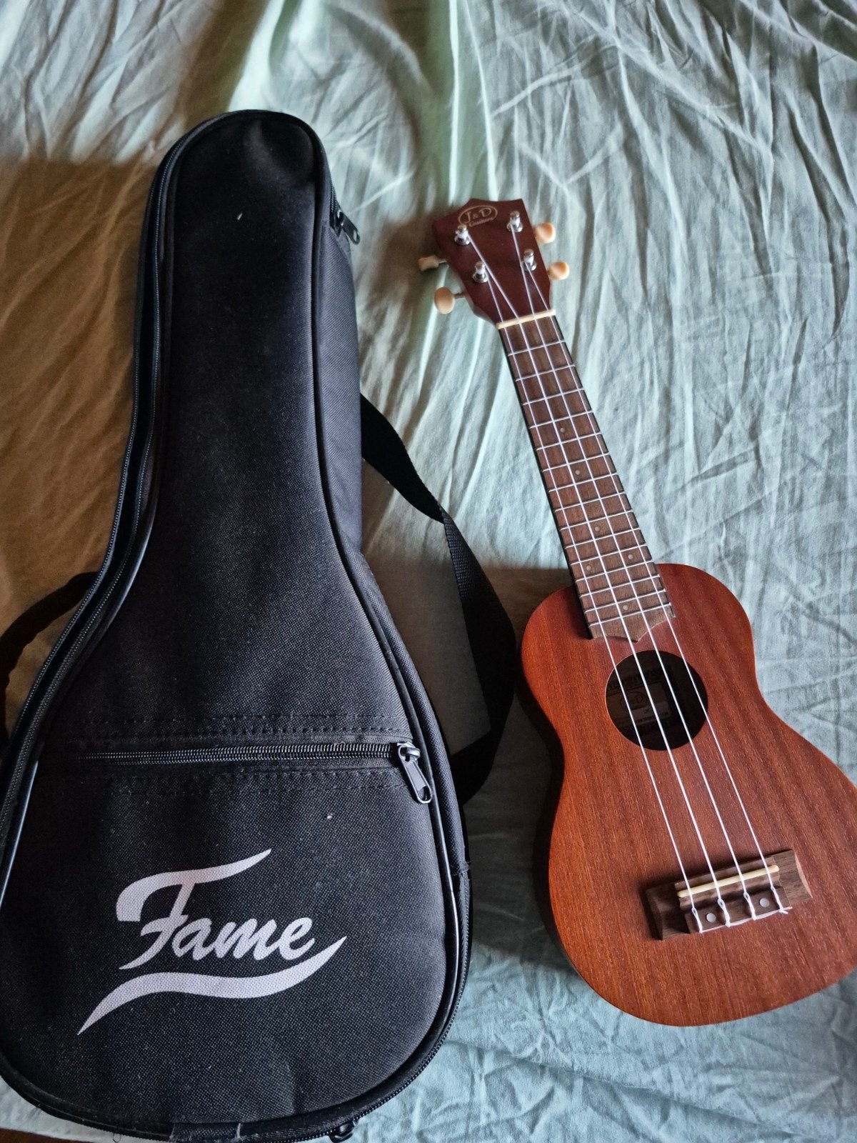 ukelele, Musique & Instruments, Instruments à corde | Guitares | Acoustiques, Enlèvement, Neuf, Autres types