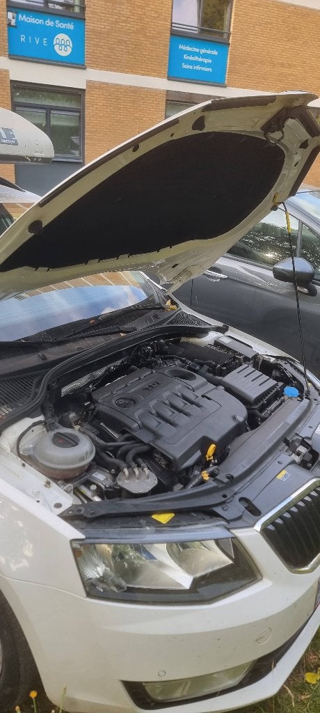 Skoda octavia 1.6 TDi année 2017, Autos, Skoda, Cuir, Achat, Euro 6, Boîte manuelle