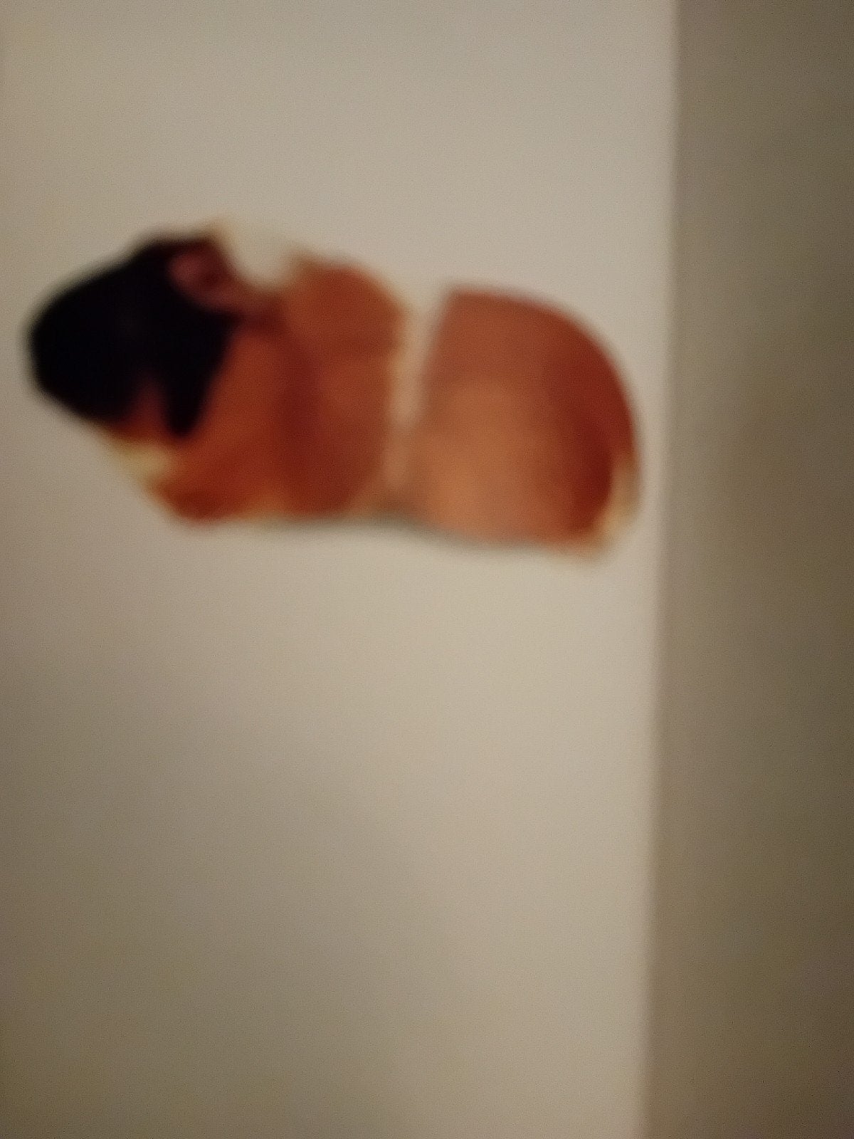 gezocht cavia zeugje, Maart, Cavia