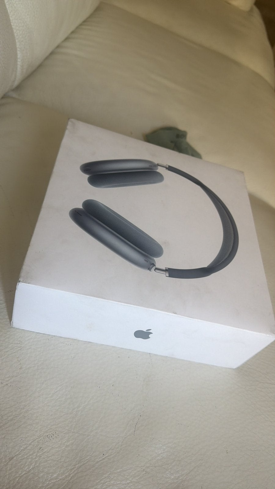 Casque apple, TV, Hi-fi & Vidéo, Casques audio, Enlèvement, Apple