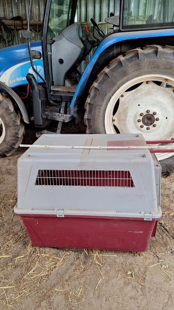 Hondentransport kist, Dieren en Toebehoren, Ophalen of Verzenden