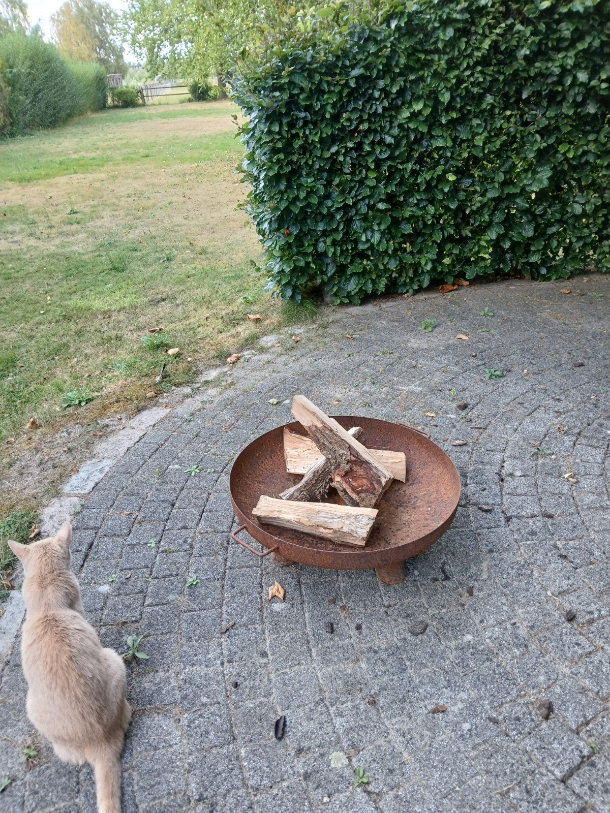 vuurschaal 60cm oortjes, 3 poten, staal, Ophalen, Gebruikt